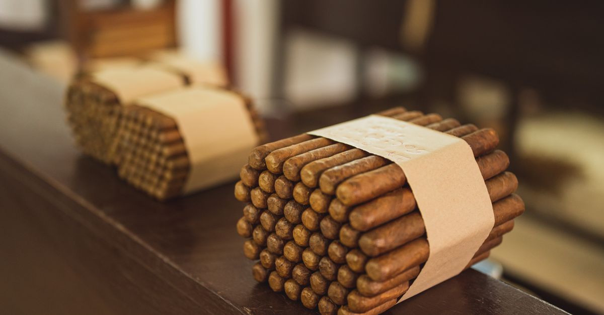 From above of piles of uncooked packed cigars with rounded edges put in row on wooden surface in factory on blurred background