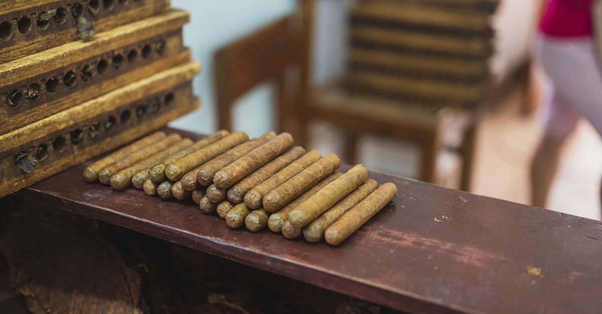 From above side view of crop unrecognizable woman passing by pile of similar cigars near wooden boxes with holes in food factory